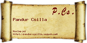 Pandur Csilla névjegykártya